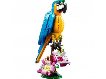 Exotický papoušek 31136
