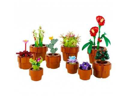 Miniaturní rostliny 10329