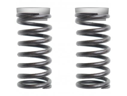 SCOOTER FRONT SPRINGS 23S SENCOR