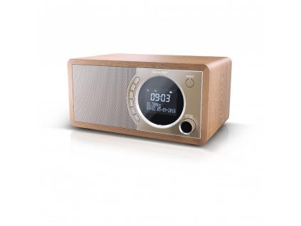 DR-450BR FM/DAB rádioprijímač SHARP