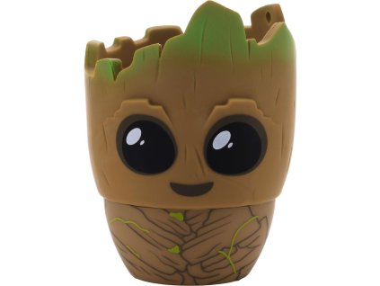 Groot BT Reproduktor Bitty Boomer