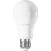 Smart Bulb RGB 9W E27 ZigBee TESLA