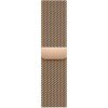 Watch Acc 41 Gold Milanese Loop APPLE