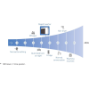 SCHEMA RAPID RIC
