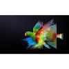 65UR9S RGB MiniLED TV HISENSE