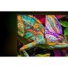 50E8S QLED TV HISENSE