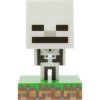 Icon Light Minecraft - Skeleton PALADONE