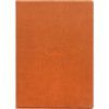 Magnetic folio cover pro InkPad One PB