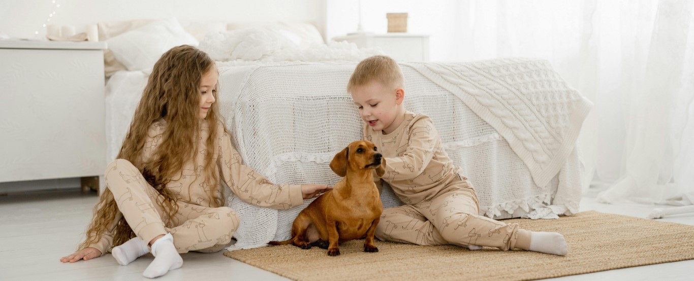 Jak vybrat koberec, když máte doma mazlíčky 🐾