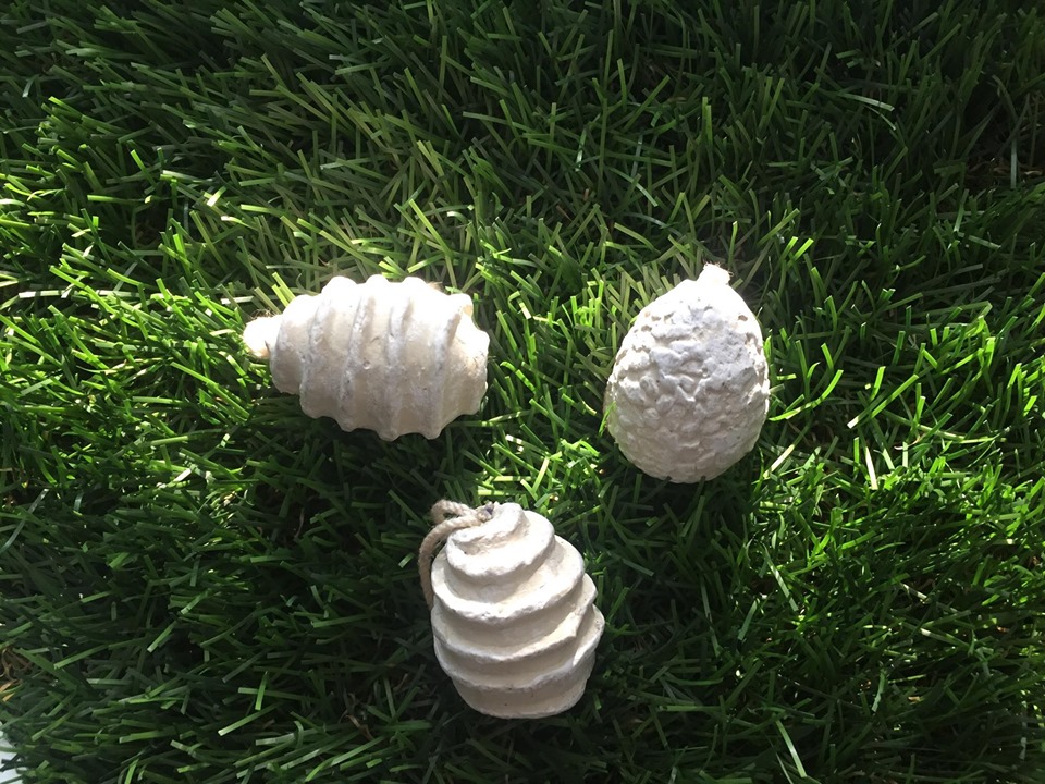 92811415_230450308199300_7491176108214190080_n