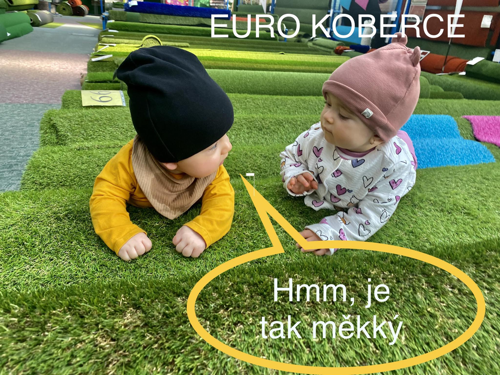 351431260_1279896969360534_7945109318124410111_n