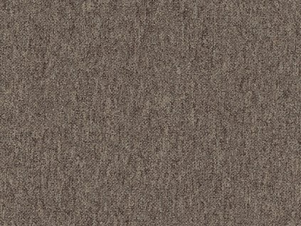 coral 58309 bitumen