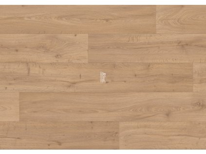 gold tex s2m s4m tl28mm