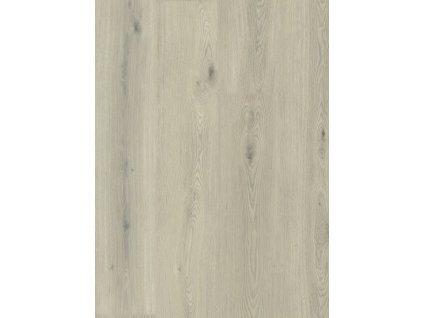 dub verdi 8196L 004