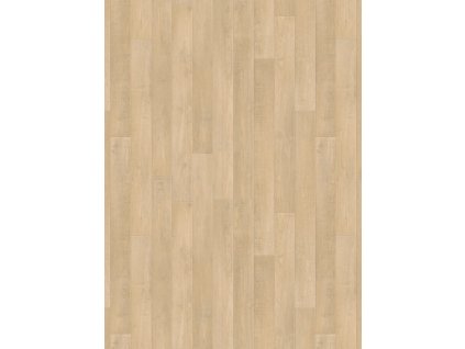 holm oak blonde