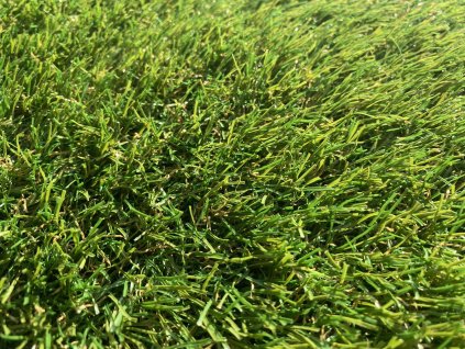 431536682 3707270906197818 8221681441599334906 n