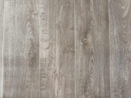 4b733b70 57d2 424a 8a16 3f8dea034a69