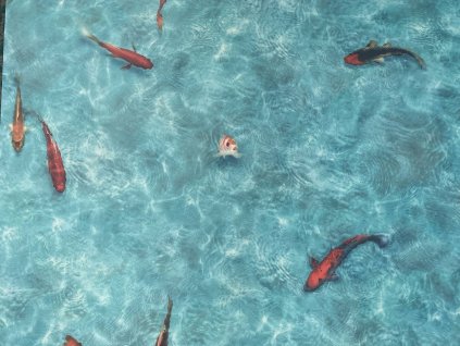 7a5920d3 176e 49c5 b2ea 34b2c8b7c22a