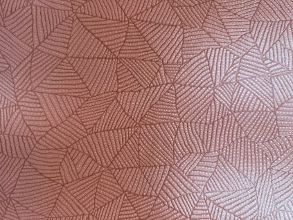 Obrázek WhatsApp, 2025 12 08 v 15.25.27 75551072