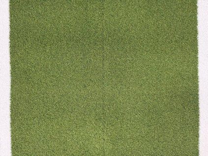 běhoun evo pro 11