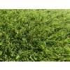 Umělý trávník - AROS 30 mm
