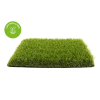 Opera Snímek 2025 05 17 150013 agngrass.com