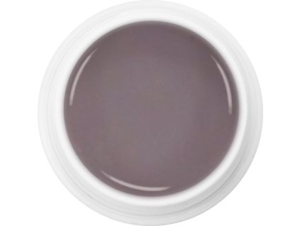 EBD 254 - MATTE GRAY-VIOLET - màu xám mờ với một chút tím 5g