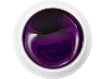 EBD 821 - Extra Quality Dry Color Gel - WILD VIOLET, 5g (Gel màu không chùi  - lý tưởng cho nail art