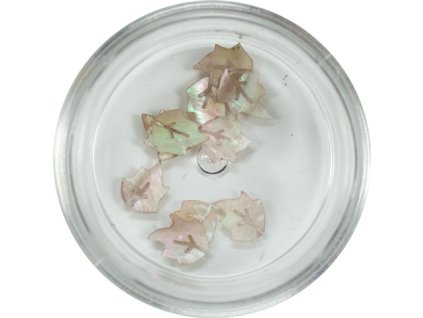 Trang trí bằng ngọc trai - leaf (07)