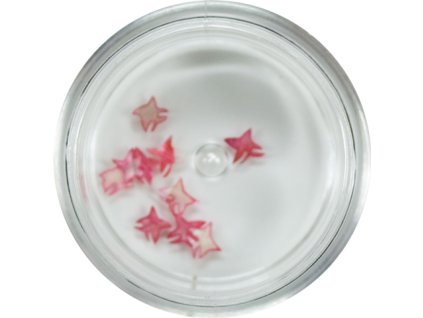 Trang trí bằng ngọc trai - small butterfly (13)