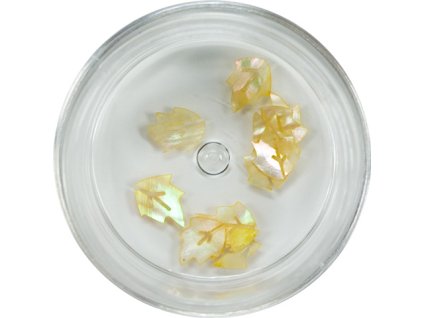 Trang trí bằng ngọc trai - leaf (21)