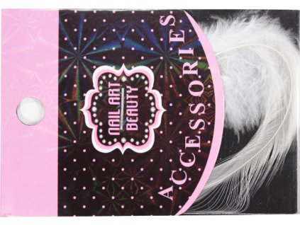 lông vũ đẻ trang trí - màu trắng (1)