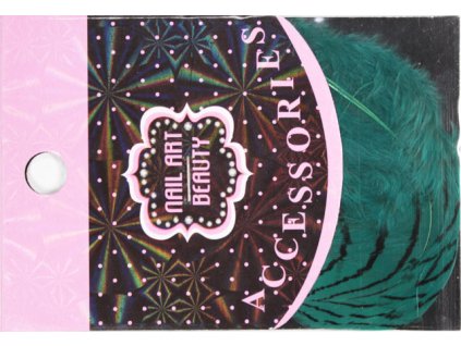 lông vũ đẻ trang trí - màu xanh ngọc (13)