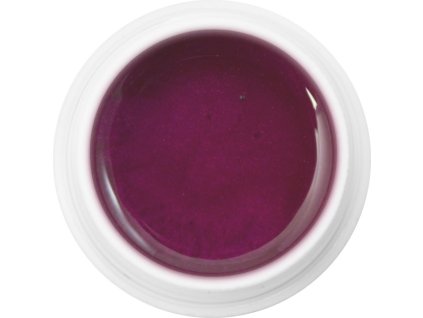 EBD 269 - PURPLE SHIMMER - màu tím lấp lánh, 5g