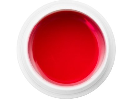 EBD 846 - Extra Quality Dry Color Gel - MONTANA PINK, 5g (Gel màu không chùi  - lý tưởng cho nail ar