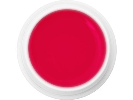 EBD 1008 - Extra Quality Max Cover Gel - RED LABEL, 5g (silver line)