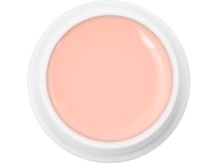 EBD 1019 - Extra Quality Max Cover Gel - CAKE TOPPING, 5g (silver line)