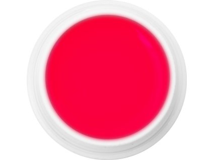 EBD 1024 - Extra Quality Max Cover Gel - BOUQUET OF ROSES, 5g (silver line)