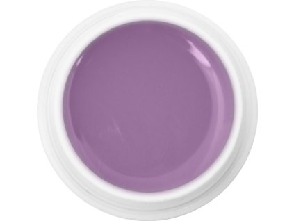 EBD 1026 - Extra Quality Max Cover Gel - PURPLE FAIRY, 5g (silver line)