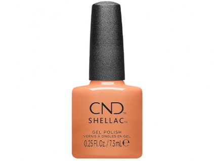 CND CND™ SHELLAC™ - UV COLOR – DAYDREAMING 0.25oz (7,3ml) – limitovaný odstín