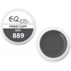 EBD 889 - Extra Quality Dry Color Gel - FOGGY CLIFF, 5g (gel màu Gel Không chùi -  - lý tưởng cho nail art)