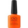 CND CND™ SHELLAC™ - UV COLOR - POPSICLE PICNIC (381) 0.25oz (7,3ml) – limitovaný odstín