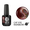 Platinum LED-tech BOOSTER COLOR Cat Eye Rainbow - Kiss (454), 15ml - Sơn gel KHÔNG MÀI