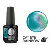 Platinum LED-tech BOOSTER COLOR Cat Eye Rainbow - Who (464), 15ml - Sơn gel KHÔNG MÀI