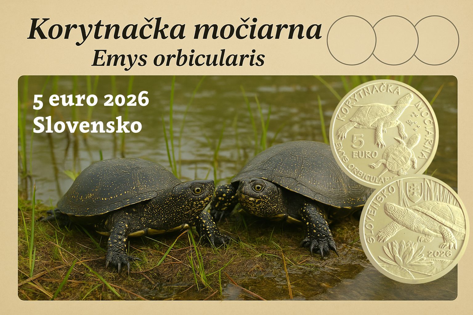 Korytnačka Močiarna