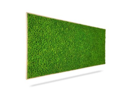 Machový obraz LIŠAJNÍK mono GREEN, 140x60cm, drevený biely rám