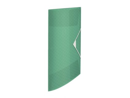 Plastový obal s gumičkou Esselte Colour`Ice zelený