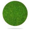 Machový obraz kruh LIŠAJNÍK mono GREEN, priemer 55cm, dubový rám