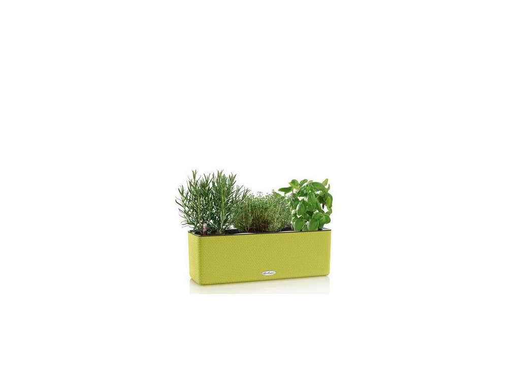 le balconissima color product listingimage