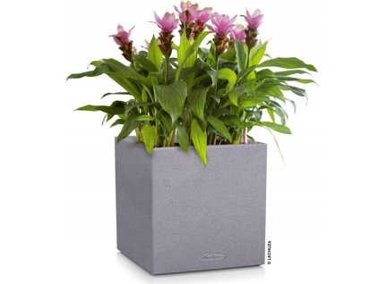 Lechuza Canto Stone kostka